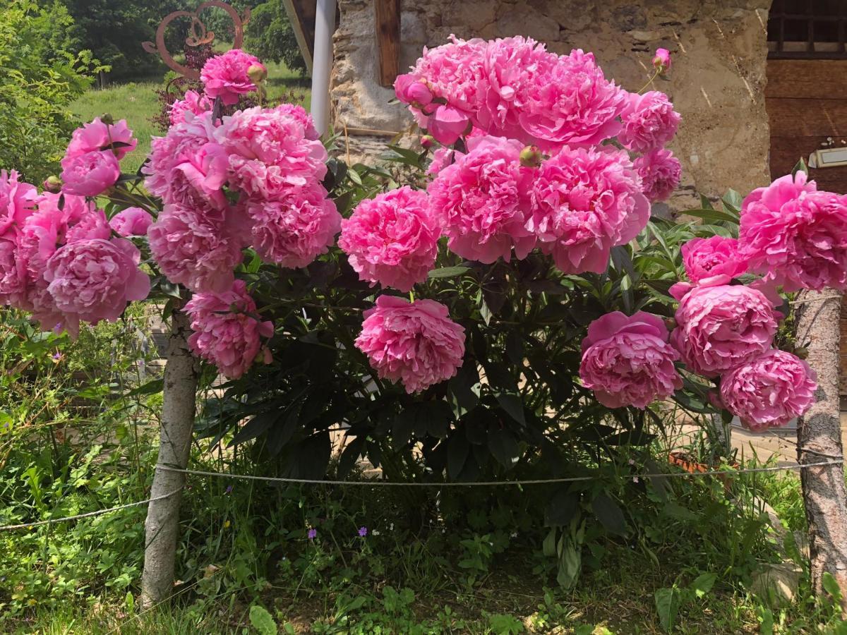 Le Pika Bed & Breakfast Hauteluce Dış mekan fotoğraf