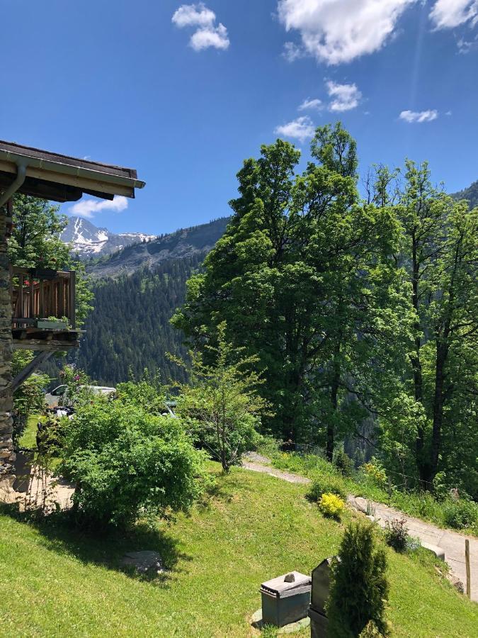 Le Pika Bed & Breakfast Hauteluce Dış mekan fotoğraf