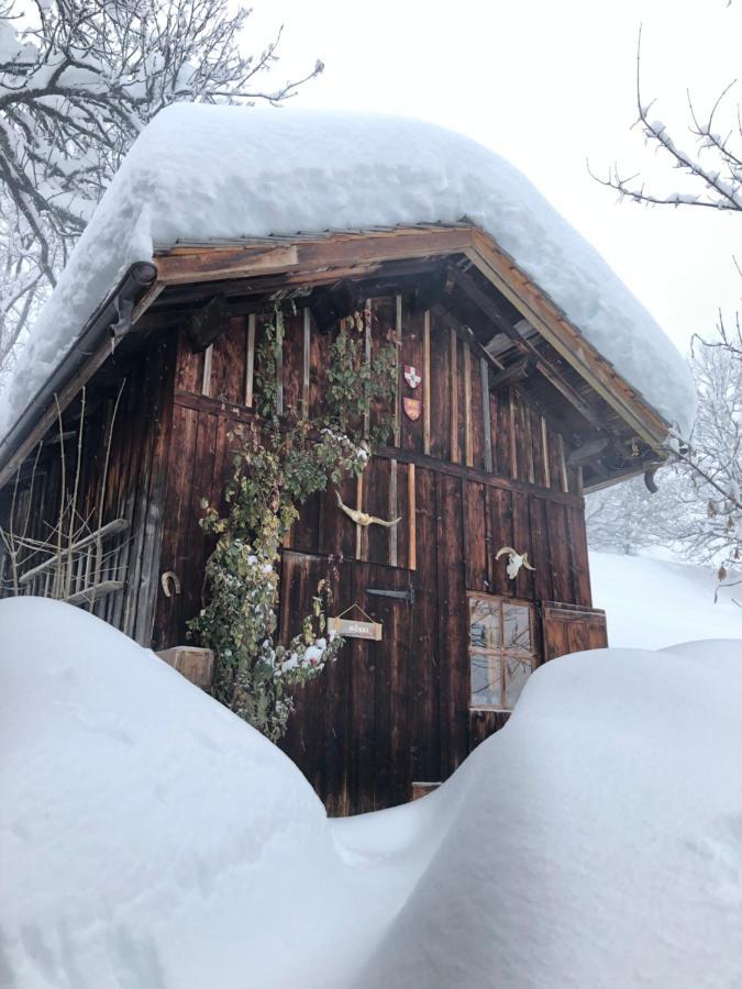 Le Pika Bed & Breakfast Hauteluce Dış mekan fotoğraf