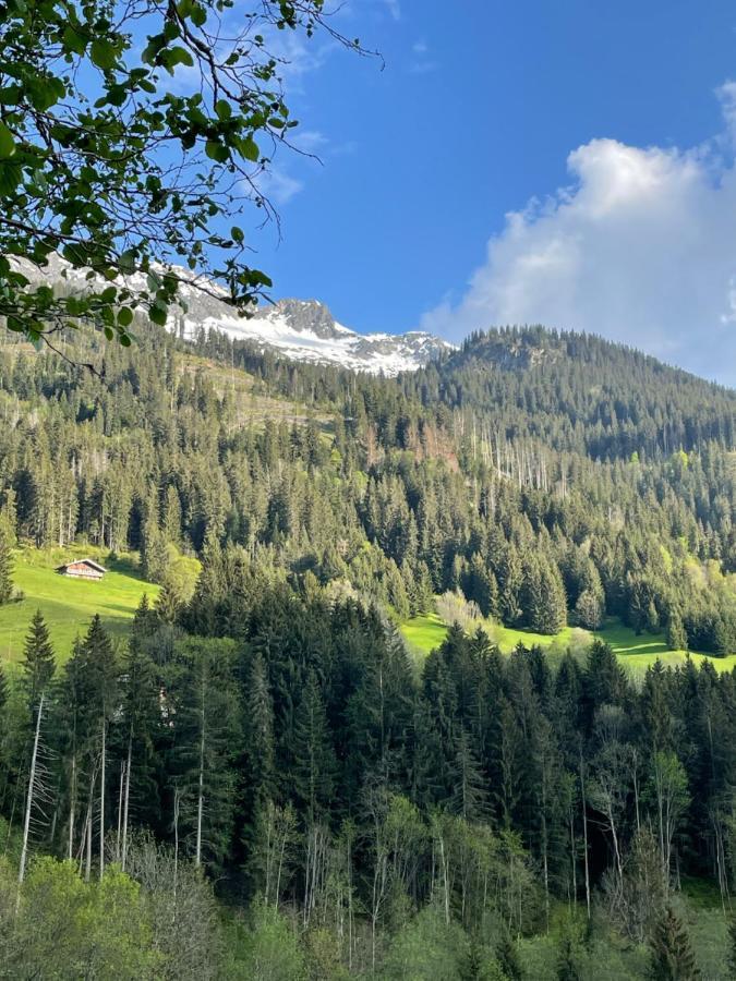 Le Pika Bed & Breakfast Hauteluce Dış mekan fotoğraf