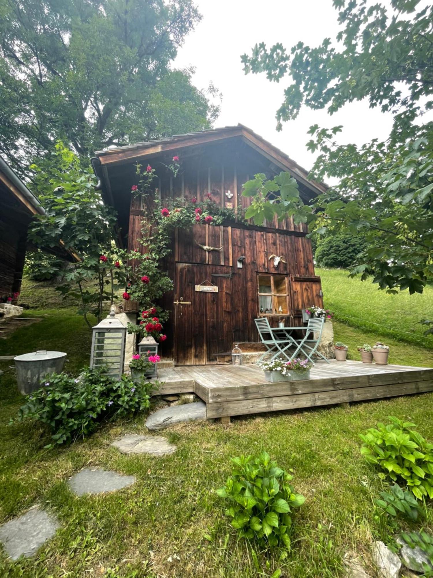 Le Pika Bed & Breakfast Hauteluce Dış mekan fotoğraf