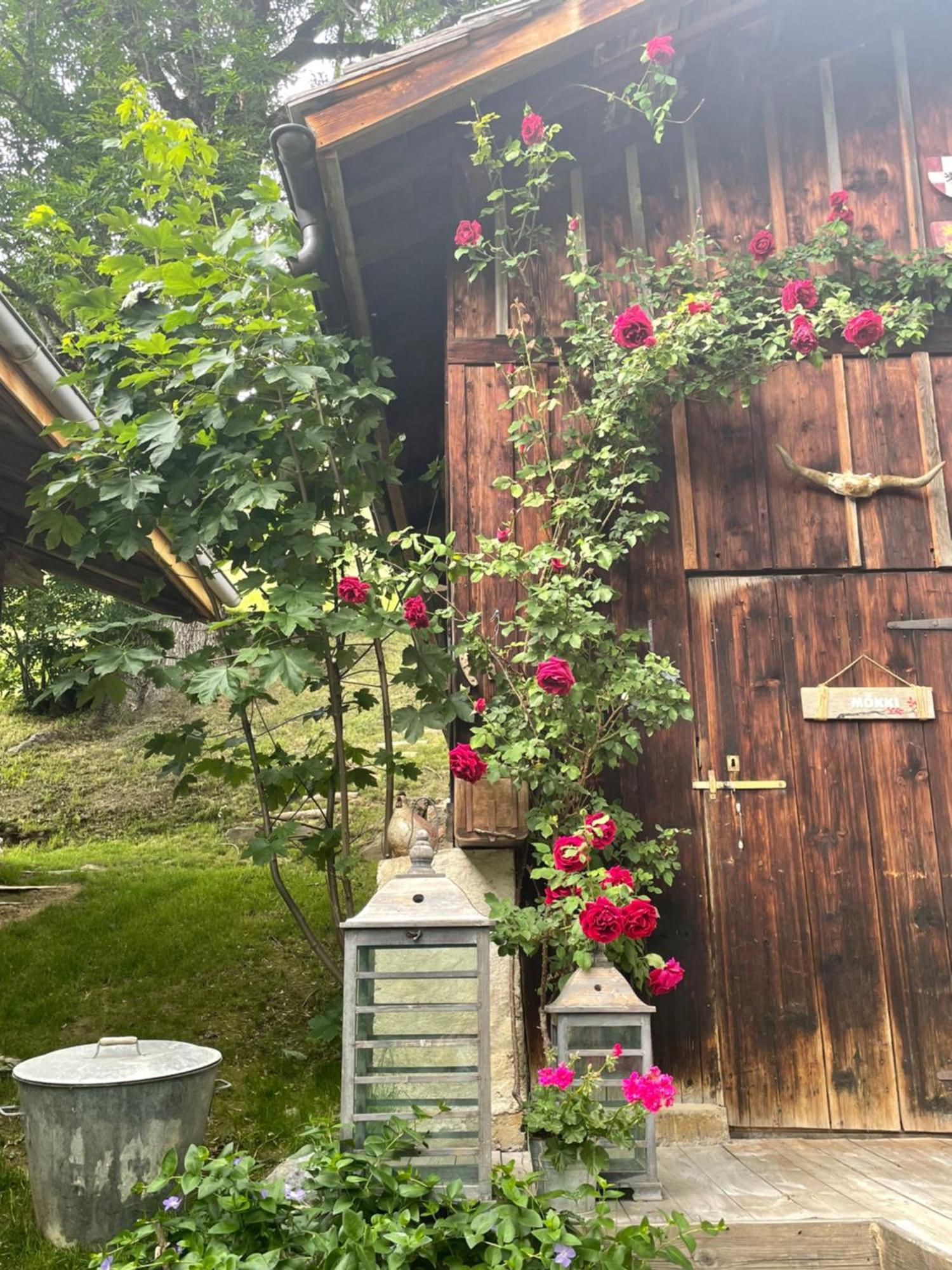 Le Pika Bed & Breakfast Hauteluce Dış mekan fotoğraf